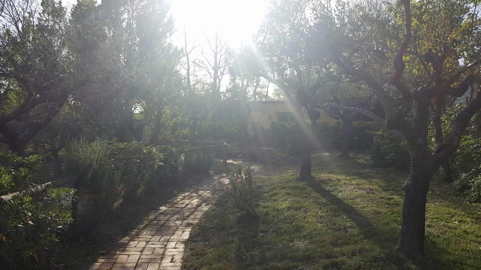 Villa Montemma Montesarchio エクステリア 写真